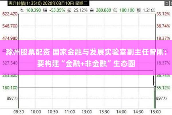 滁州股票配资 国家金融与发展实验室副主任曾刚：要构建“金融+非金融”生态圈