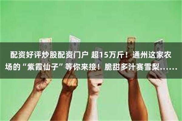 配资好评炒股配资门户 超15万斤！通州这家农场的“紫霞仙子”等你来接！脆甜多汁赛雪梨……