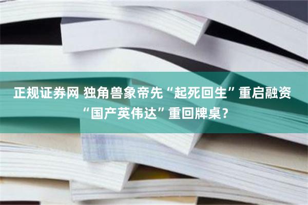 正规证券网 独角兽象帝先“起死回生”重启融资 “国产英伟达”重回牌桌？