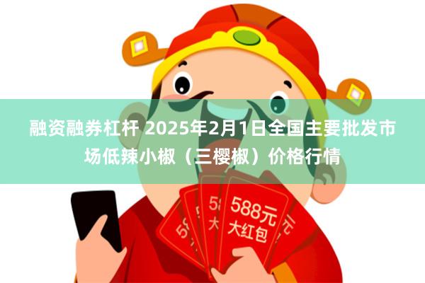 融资融券杠杆 2025年2月1日全国主要批发市场低辣小椒（三樱椒）价格行情