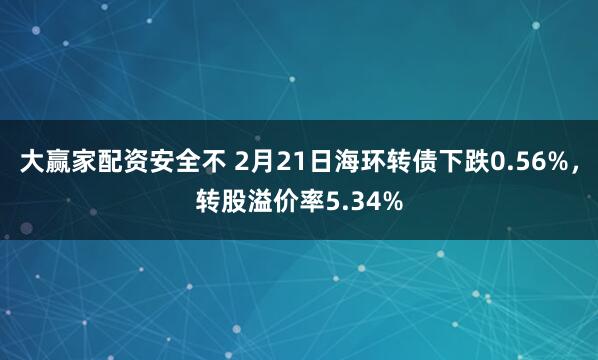 大赢家配资安全不 2月21日海环转债下跌0.56%，转股溢价率5.34%