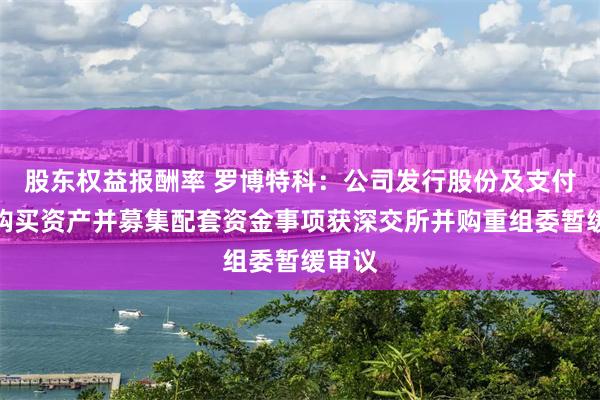 股东权益报酬率 罗博特科：公司发行股份及支付现金购买资产并募集配套资金事项获深交所并购重组委暂缓审议