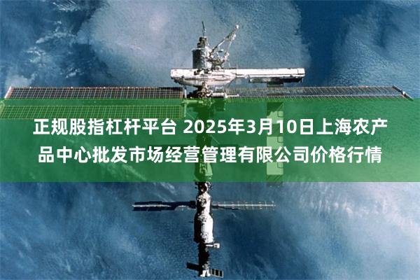 正规股指杠杆平台 2025年3月10日上海农产品中心批发市场经营管理有限公司价格行情