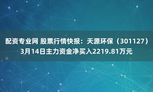 配资专业网 股票行情快报：天源环保（301127）3月14日主力资金净买入2219.81万元